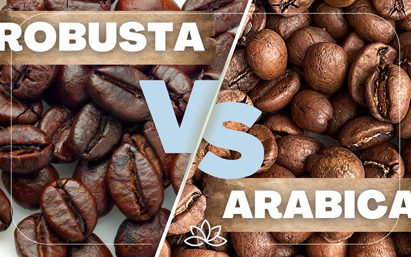 میزان طرفداری واردات قهوه روبوستا یا عربیکا ؟